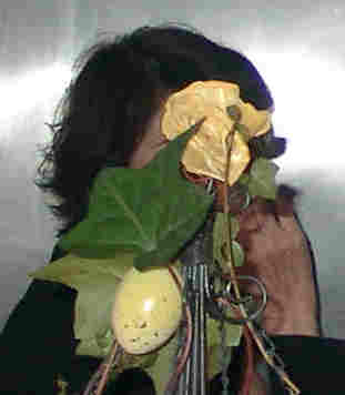 Eva hinter Bl&auml;ttern - spiegelverkehrt