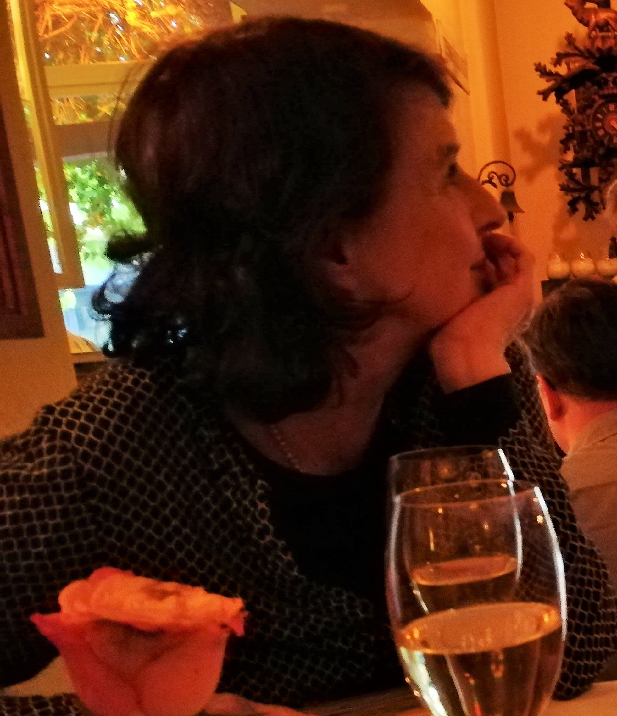 Abendstimmung - Gegenlicht